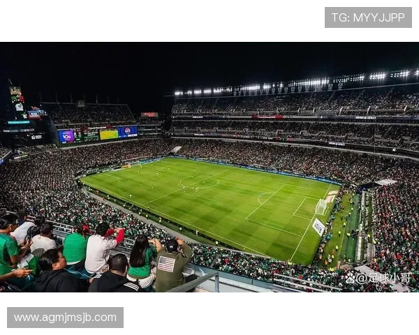 2026年世界杯80场比赛现场观赛指南,助你轻松找到理想的观赛位置