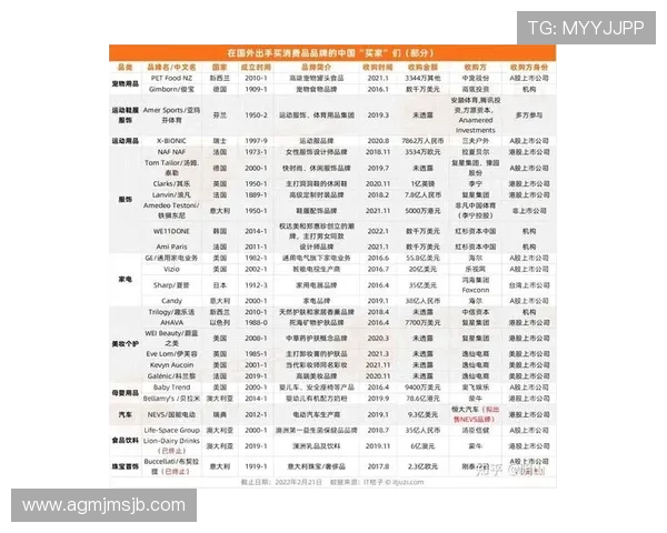 2026年世界杯扩军名额分配机制全面解析与影响评估 2026年世界杯扩军名额分配机制全面解析与影响评估