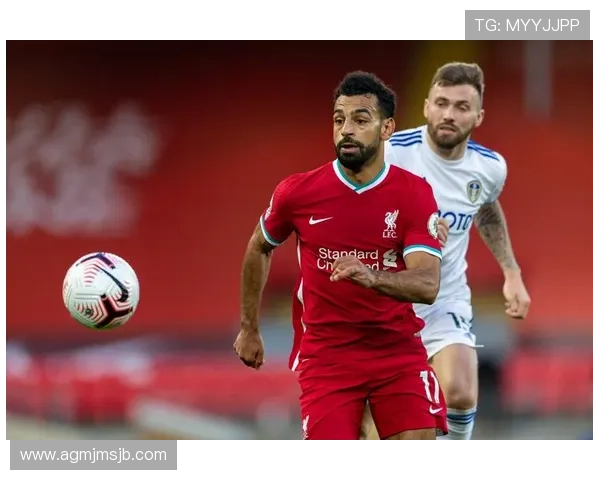 2026年世界杯南美区名额争夺赛程安排及各国备战策略全面解析