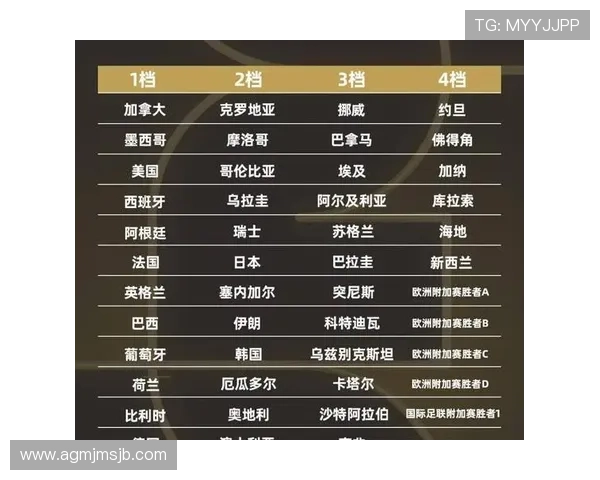 2026年世界杯附加赛最新赛程安排及重要时间节点全面解析