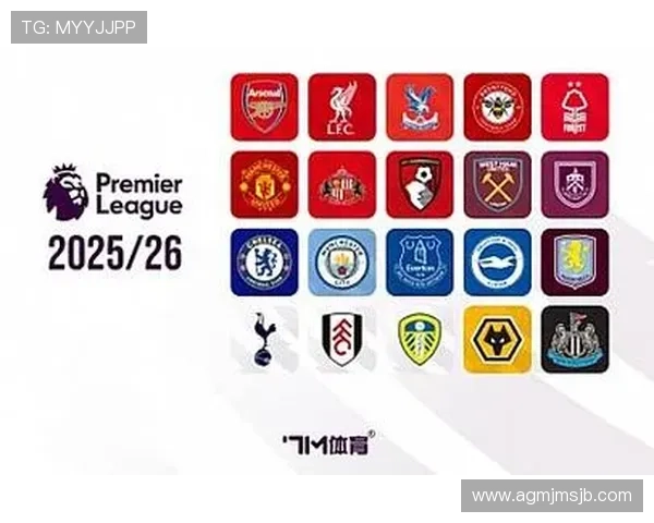 看世界杯预选赛的app有哪些优质选择，实时比分和赛事直播一站搞定