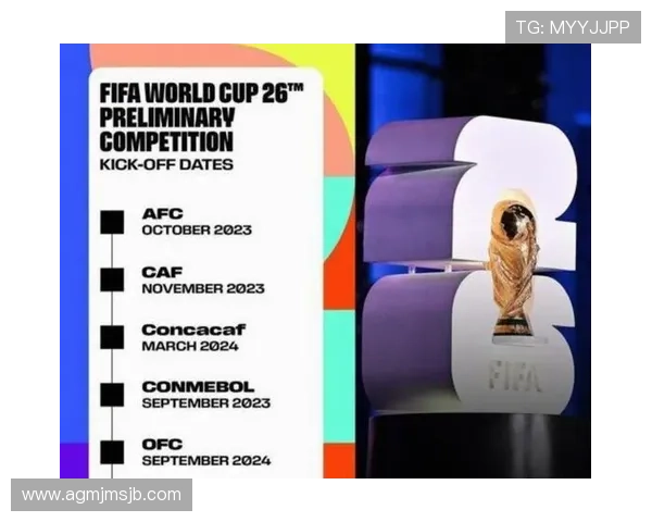 2026年世界杯48支球队名额分配原则解析及各地区参赛资格变化