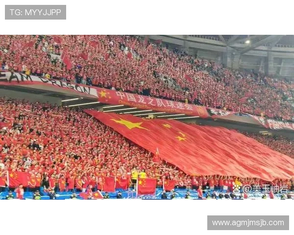 2026年世界杯中国队出线的历史纪录与未来展望分析