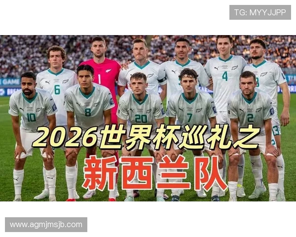 2026年世界杯新西兰与埃及比赛临场调整方案详解及关键影响因素分析