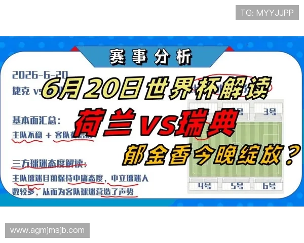 2026年世界杯荷兰对阵瑞典比赛中射正次数详细分析与统计数据解读
