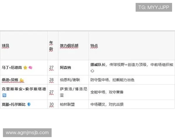 2026年世界杯伊拉克队与挪威队同组对手详细分析与比赛前瞻