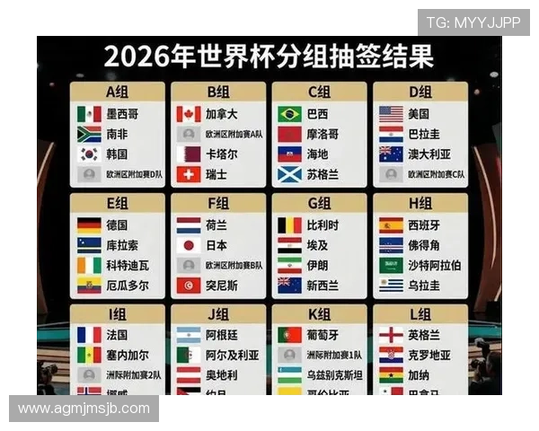 2026年世界杯比利时对阵埃及比赛中黄牌数详细分析与裁判判罚趋势解读